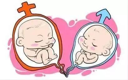 关于单身生子助孕机构